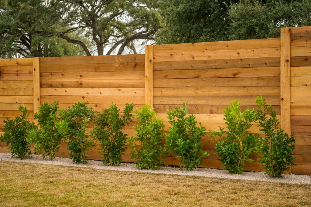 fence 1